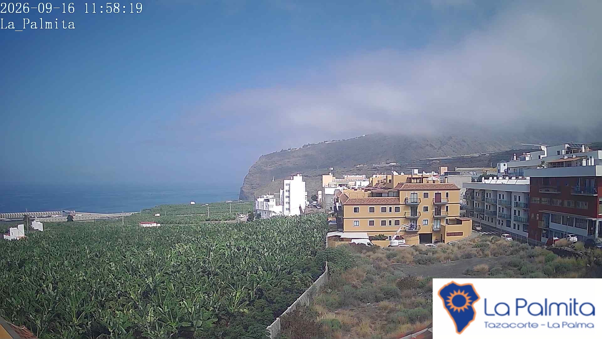 webcam TAZACORTE